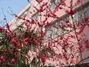 钦州学院东校区